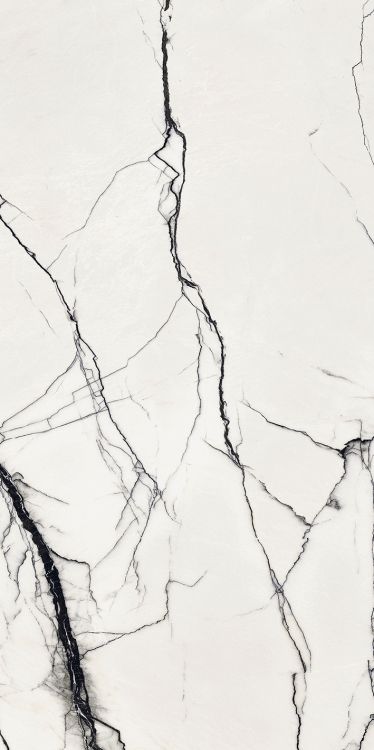 B&W Breach High-Glossy 24 x 48